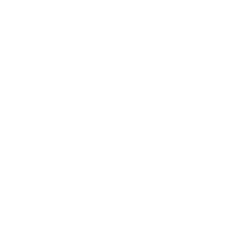 alku